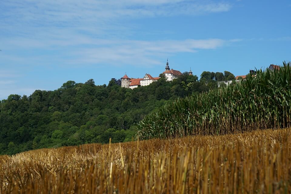 Services-01 Langenburg 243 Schloss